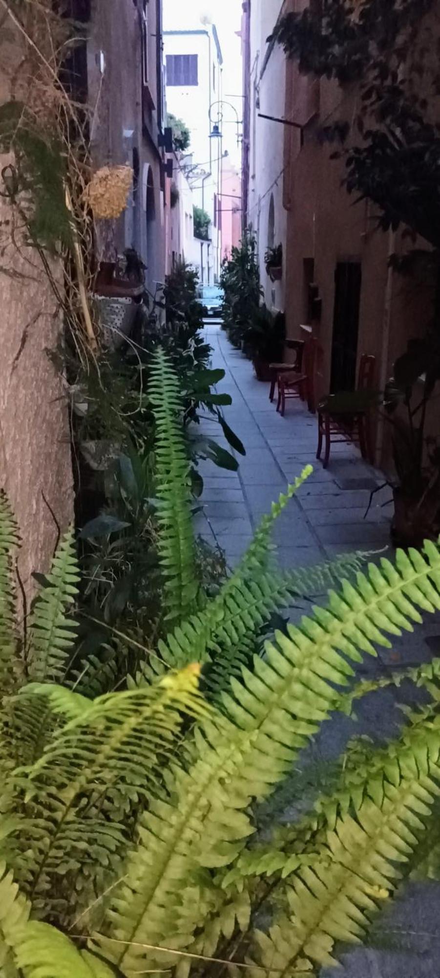 Casa Vacanze Nel Cuore Di Cagliari Exteriér fotografie